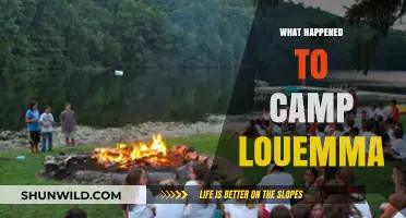 Unraveling the Mystery: What Happened to Camp Louemma?