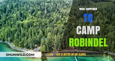 The Mysterious Closure of Camp Robinwel: Unraveling Its Untold Story