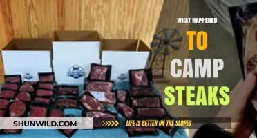The Disappearance of Camp Steaks: A Culinary Mystery Unraveled