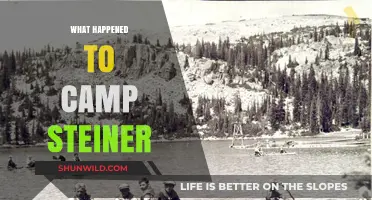 Camp Steiner's Mysterious Disappearance: Unraveling the Untold Story