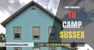 Camp Sussex Mystery: Unraveling the Fate of the Abandoned Camp