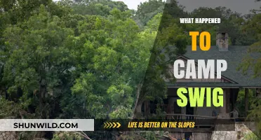 The Mysterious Disappearance of Camp Swig: Uncovering Its Fate