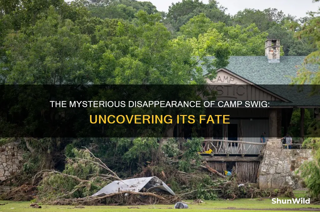 what happened to camp swig