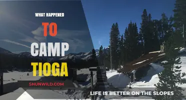 The Mysterious Closure of Camp Tioga: Unraveling Its Fate