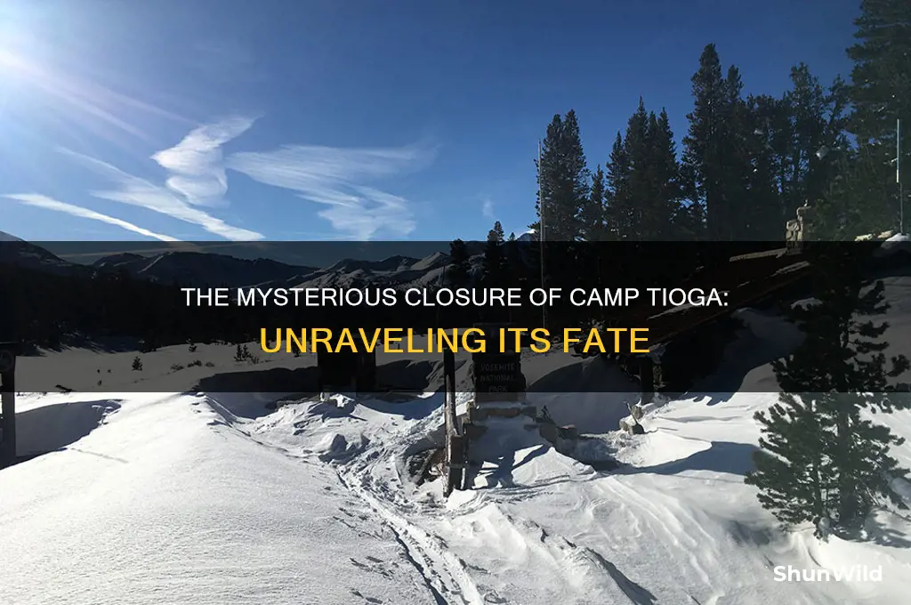 what happened to camp tioga