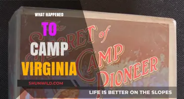 Unraveling the Mystery: What Happened to Camp Virginia?