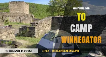 Camp Winnegator's Mysterious Disappearance: Uncovering the Untold Story