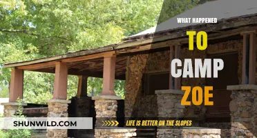 Camp Zoe's Downfall: Unraveling the Mystery Behind Its Closure