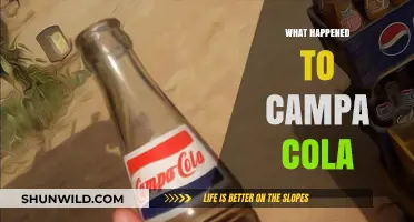Campa Cola's Fall: Unraveling the Iconic Brand's Disappearance Mystery