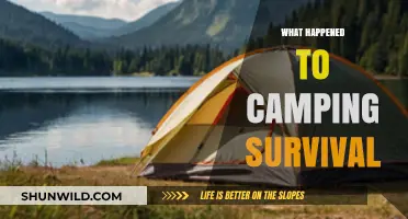 Camping Survival's Decline: Exploring the Fate of Outdoor Retail Giant