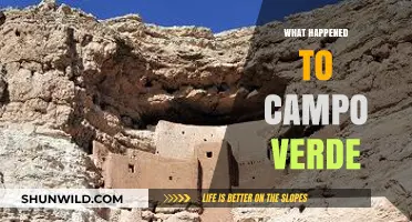 Campo Verde's Decline: Unraveling the Mystery Behind Its Transformation