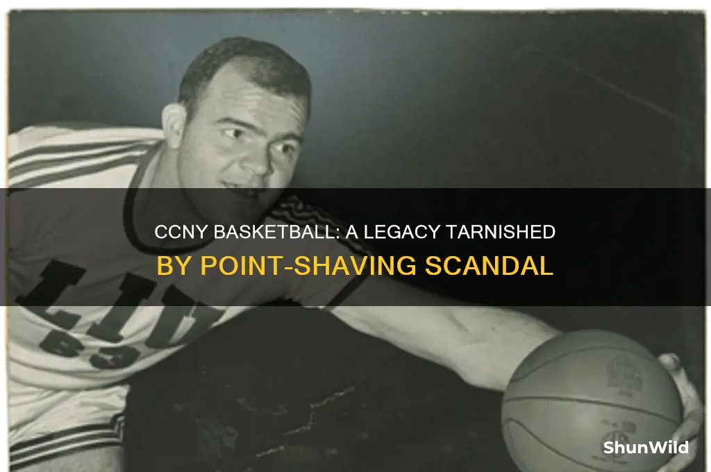 what happened to ccny basketball