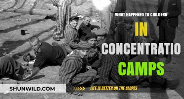 The Forgotten Innocents: Children's Plight in Concentration Camps
