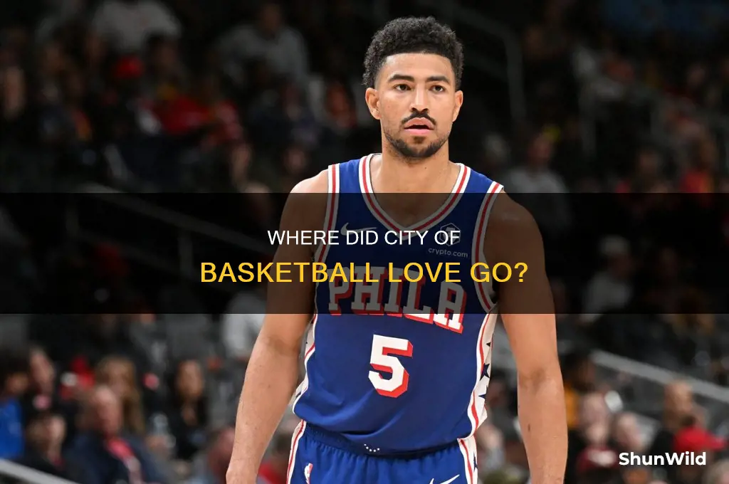 what happened to city of basketball love website