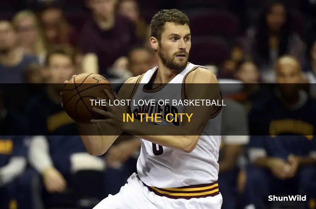 what happened to city of basketball love