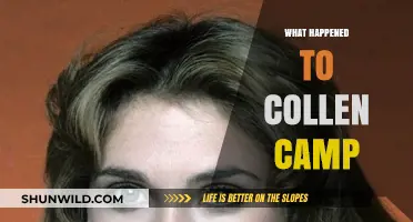 Colleen Camp's Disappearance: Unraveling the Mystery and Latest Updates