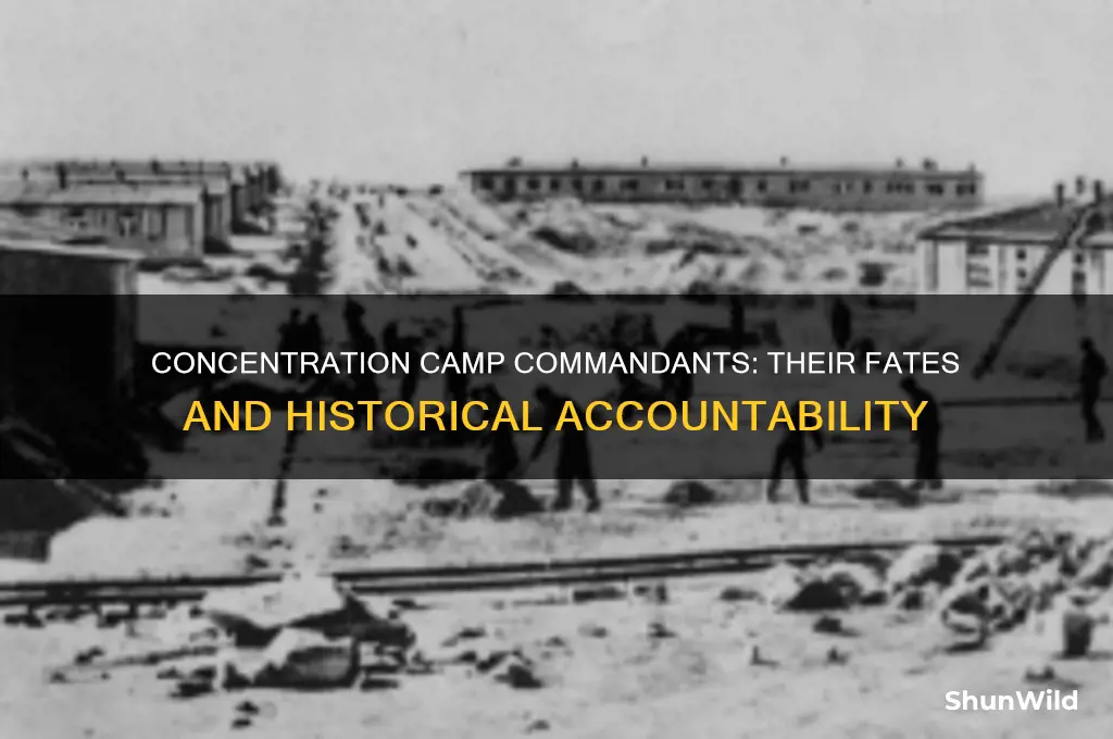 what happened to concentration camp commandants