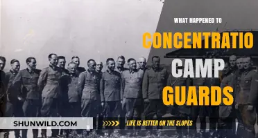 The Fate of Concentration Camp Guards: Justice and Aftermath