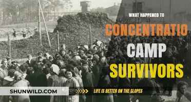 After Liberation: The Struggles and Resilience of Concentration Camp Survivors