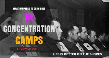 Fate of Criminals in Nazi Concentration Camps: A Dark History