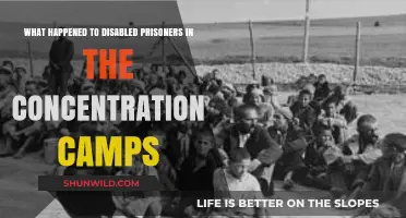 Disabled Prisoners in Concentration Camps: Forgotten Victims of Nazi Atrocities