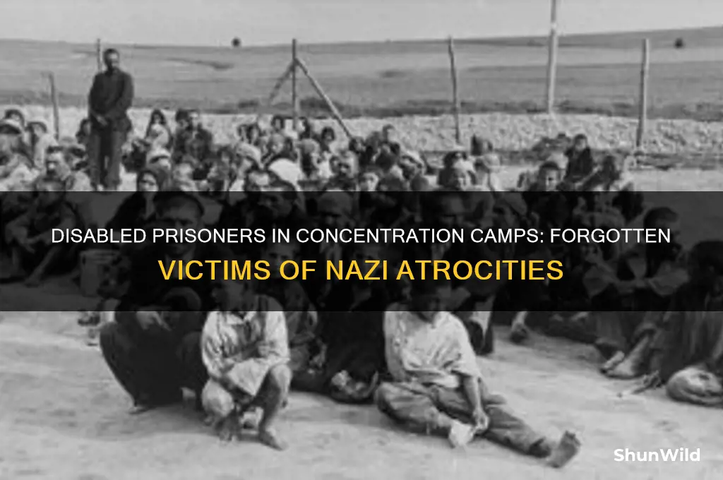 what happened to disabled prisoners in the concentration camps