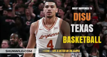 Disu's Departure: Texas Basketball's Future in Question