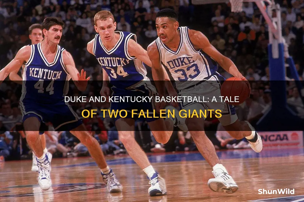 what happened to duke and kentucky basketball