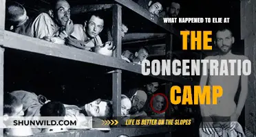 Elie Wiesel's Harrowing Concentration Camp Experience: A Survivor's Story