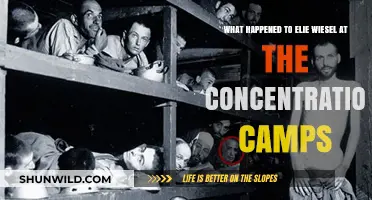Elie Wiesel's Harrowing Journey Through Nazi Concentration Camps