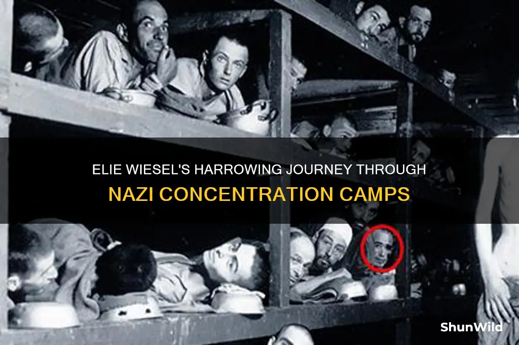 what happened to elie wiesel at the concentration camps