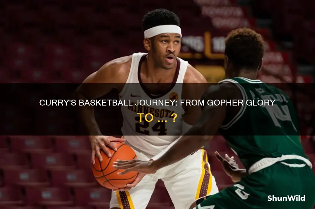 what happened to eric curry from minnesota gopher basketball