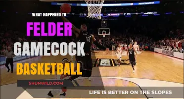 The Rise and Fall of Felder Gamecock Basketball