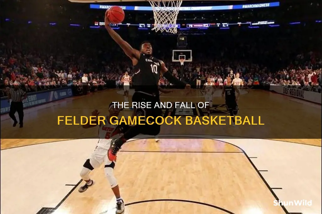 what happened to felder gamecock basketball