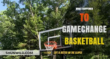 The Sudden Demise of Gamechanger Basketball: What Went Wrong?