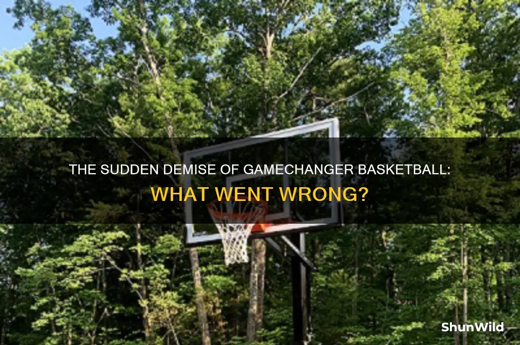 what happened to gamechanger basketball