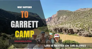 Garrett Camp's Disappearance: Unraveling the Mystery Behind His Sudden Absence