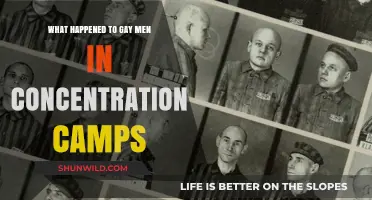 Persecuted and Forgotten: The Untold Story of Gay Men in Concentration Camps