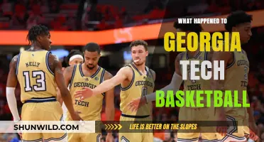 Georgia Tech Basketball: What Went Wrong?