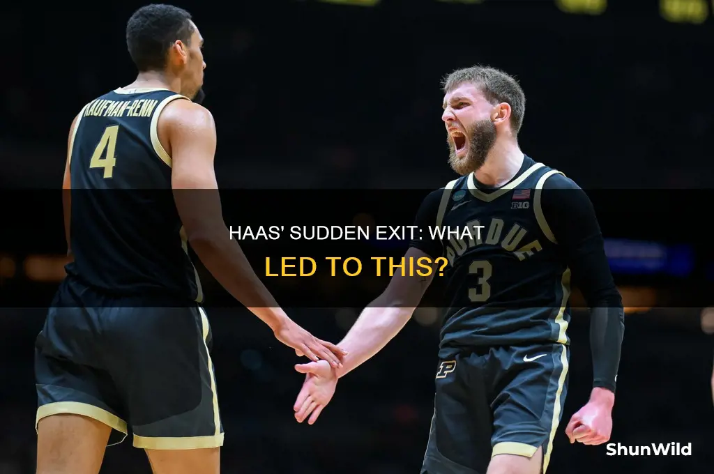 what happened to haas from purdue basketball