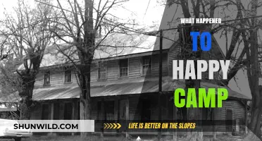 What Happened to Happy Camp: The Rise, Fall, and Legacy Explored