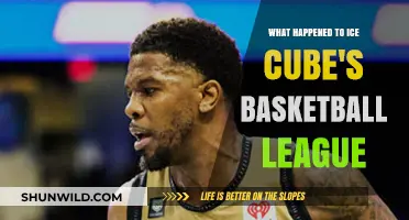 Ice Cube's Big3 League: What Went Wrong?
