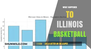 Illinois Basketball: What Went Wrong?