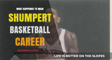 Iman Shumpert's Basketball Career: A Retrospective