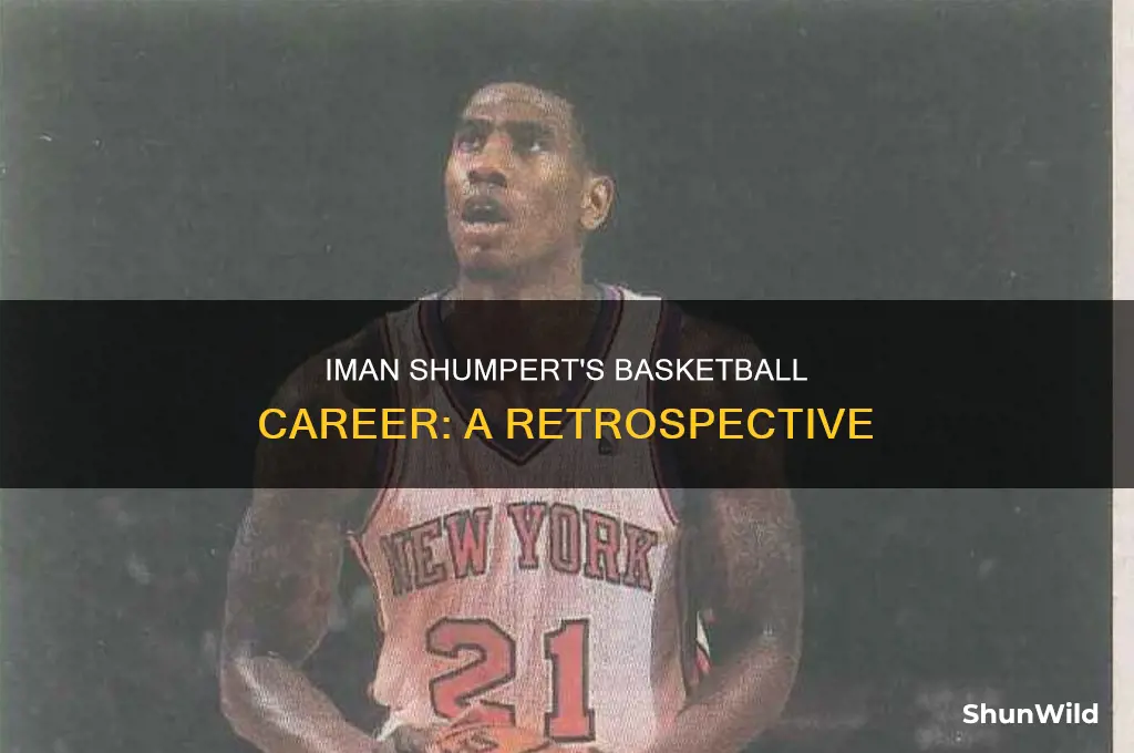 what happened to iman shumpert basketball career
