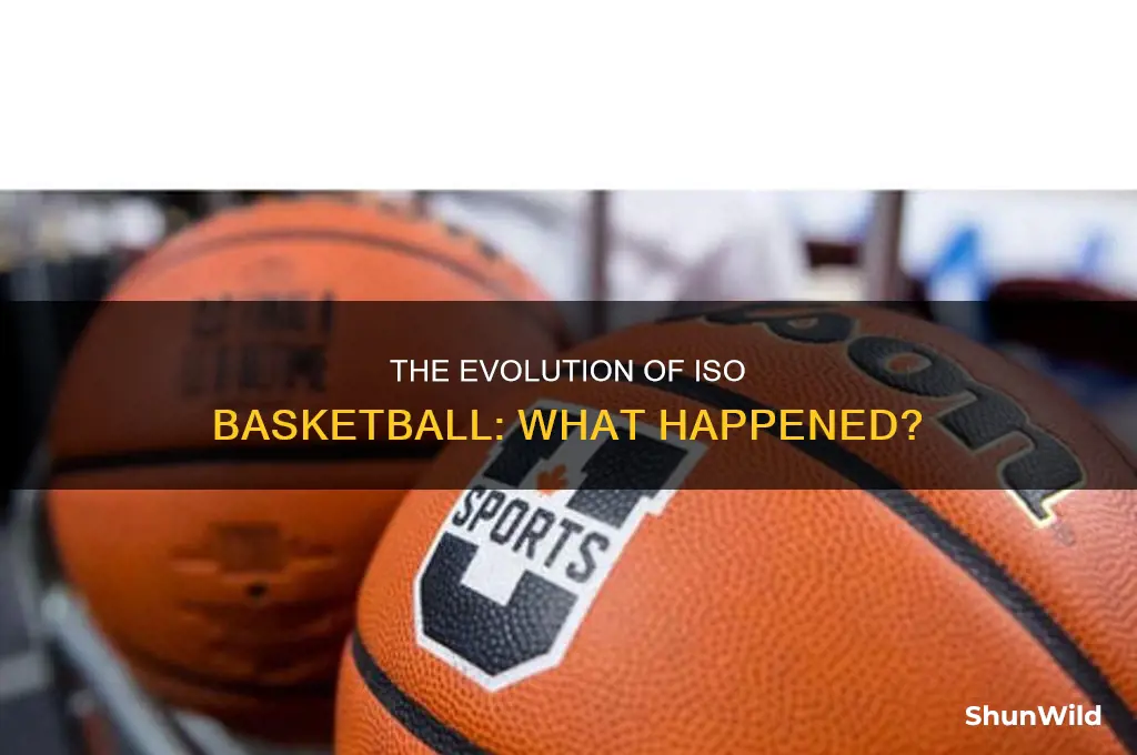 what happened to iso basketball