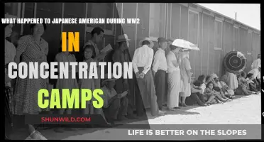 Incarceration and Resilience: Japanese Americans' WWII Concentration Camp Experience