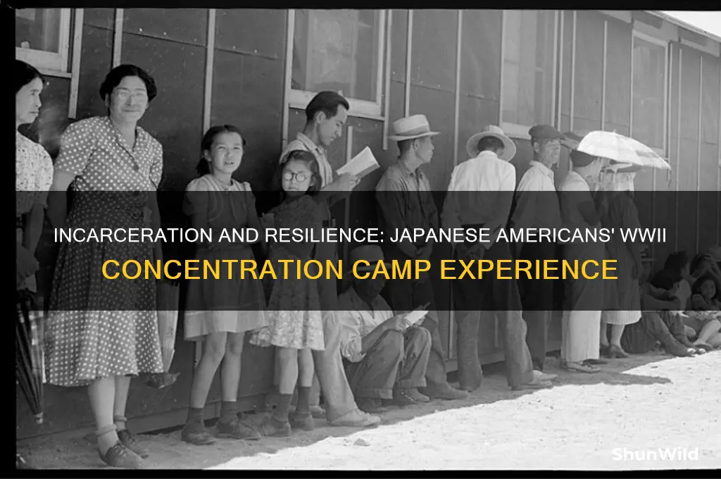 what happened to japanese american during ww2 in concentration camps