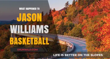 The Rise and Fall of NBA Star Jason Williams