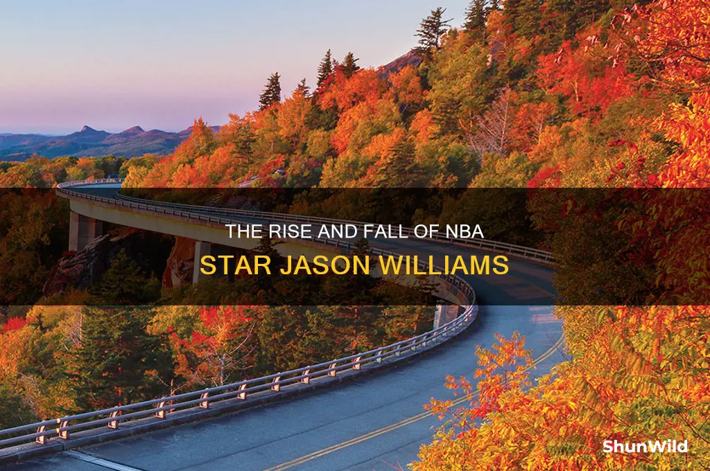 what happened to jason williams basketball